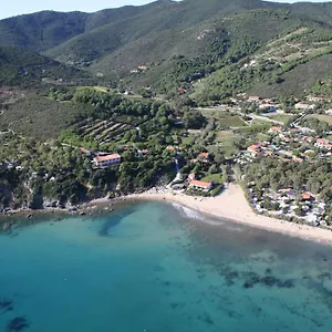 Tallinucci , Lacona Italia